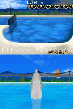 Image n° 3 - screenshots : My Pet Dolphin